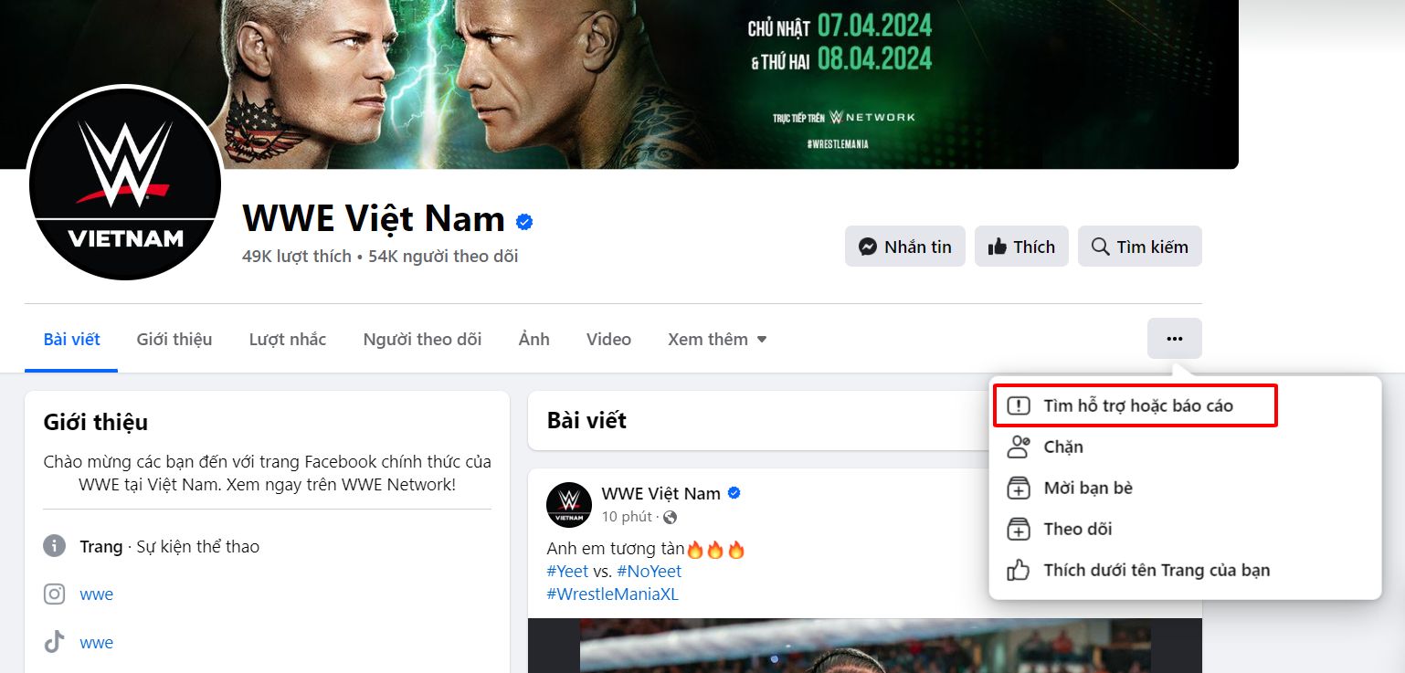 Sự thật về fanpage WWE Việt Nam có tích xanh giả mạo